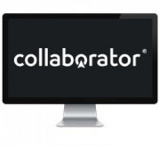 collaborator.pro
